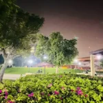 A Comprehensive Guide To Maestro Pizza Dubai