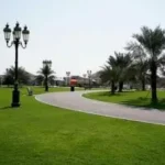 All You Need to Know About Nad Al Hamar