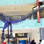 A Guide to China Mall Ajman