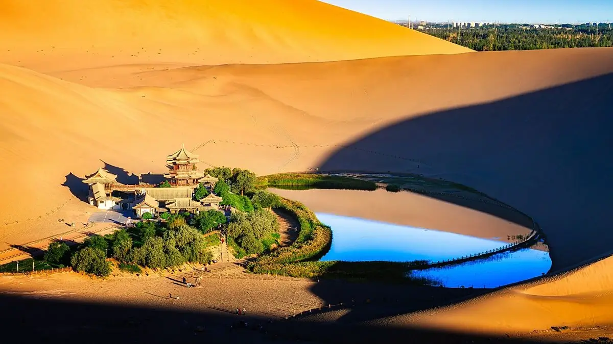 Al Waha Dubai
