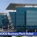 A Complete Guide to Al Satwa Bus Station Dubai  
