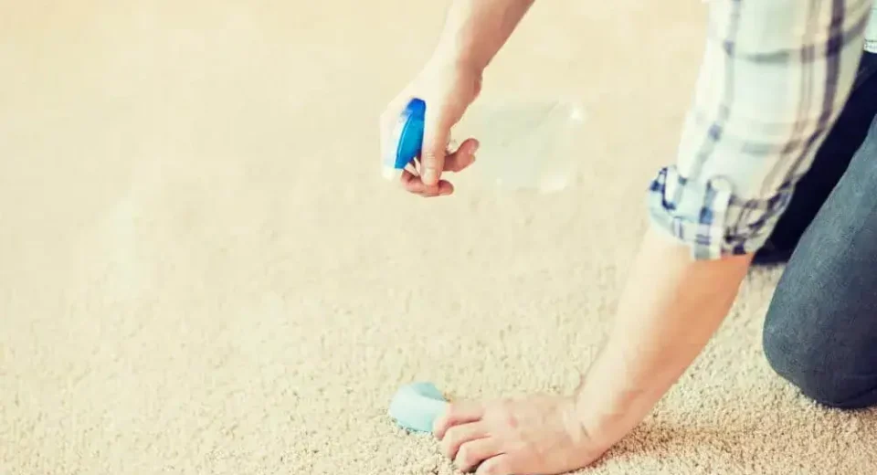 how-to-get-gum-out-of-carpet