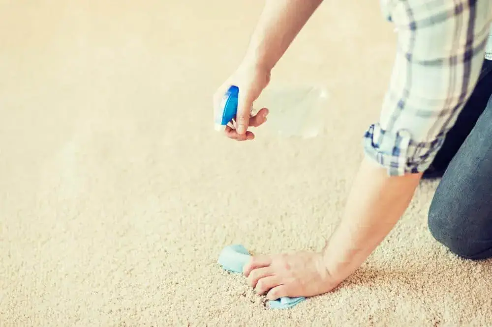 how-to-get-gum-out-of-carpet
