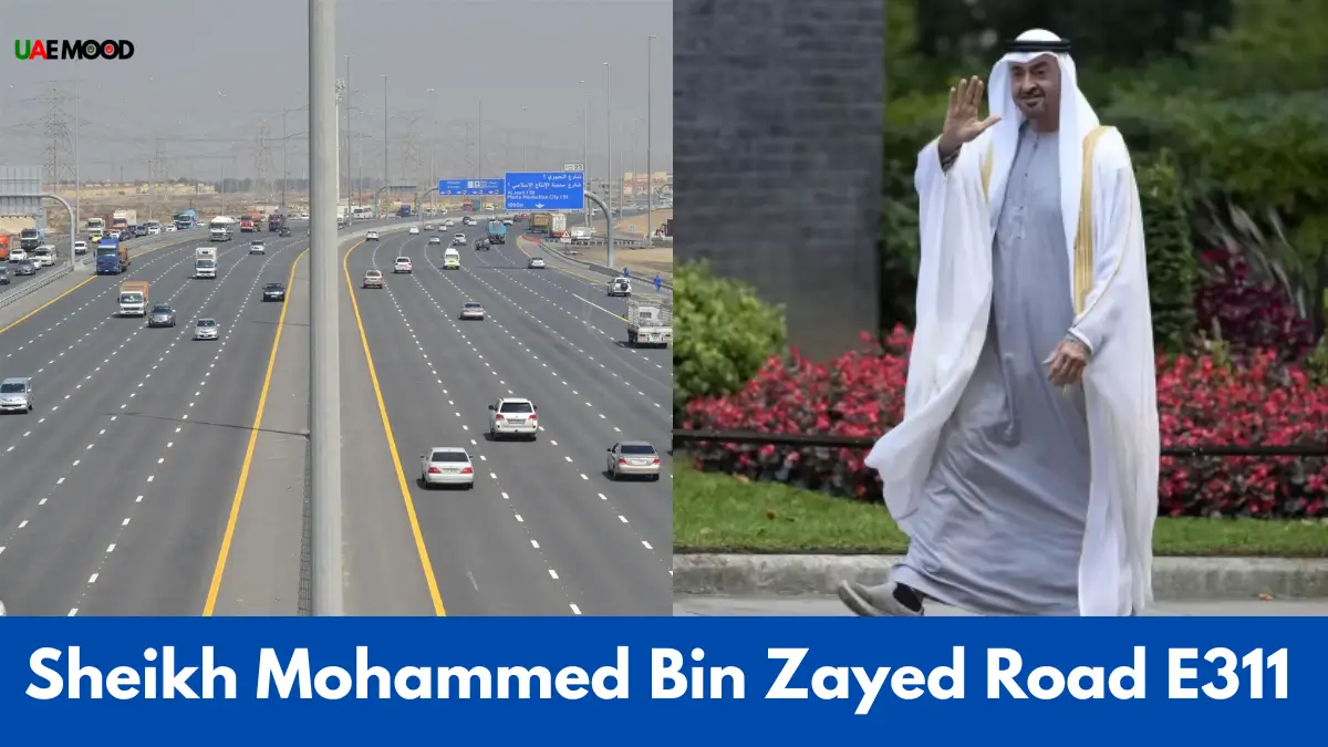 Sheikh Mohammed Bin Zayed Road E311