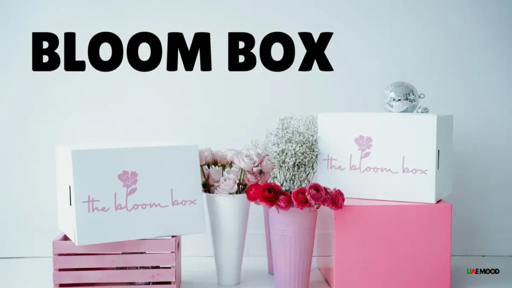 Bloom Box