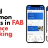 errors-in-fab-balance-checking