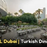 A Guide to Hamdan Bin Mohammed Street Abu Dhabi 