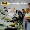 UAE amnesty 2024