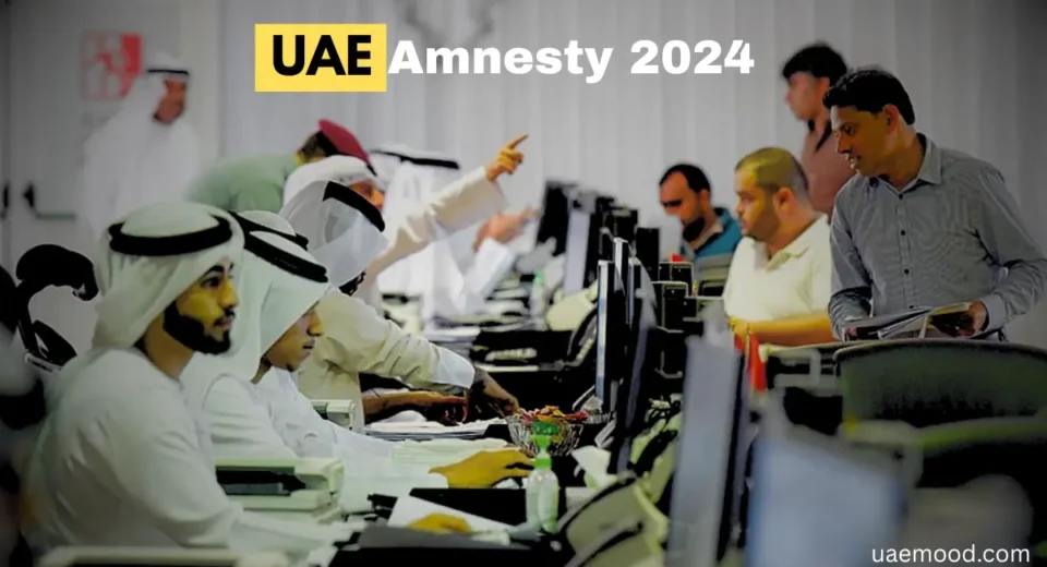 UAE amnesty 2024