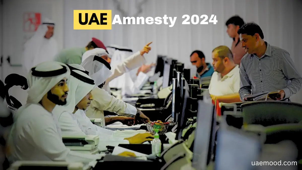 UAE amnesty 2024