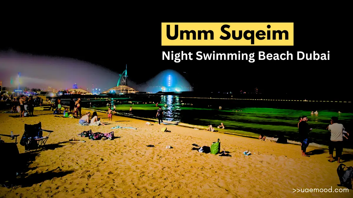 umm suqeim night swimming beach dubai