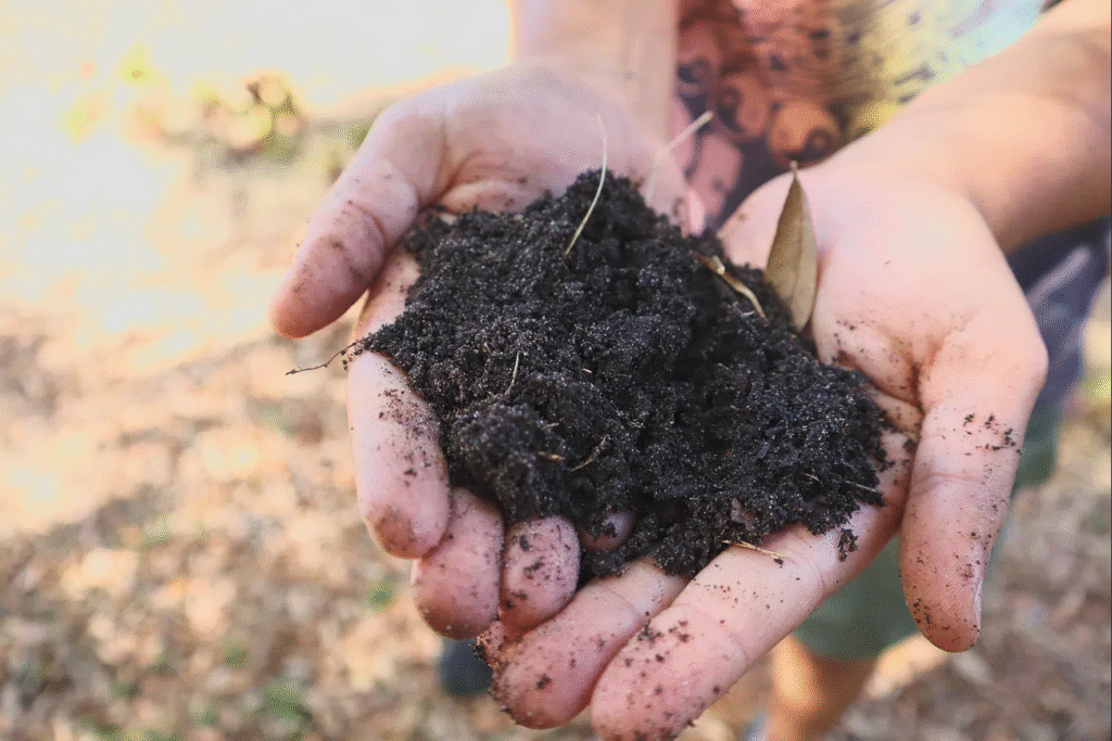 Soil as a Living Asset