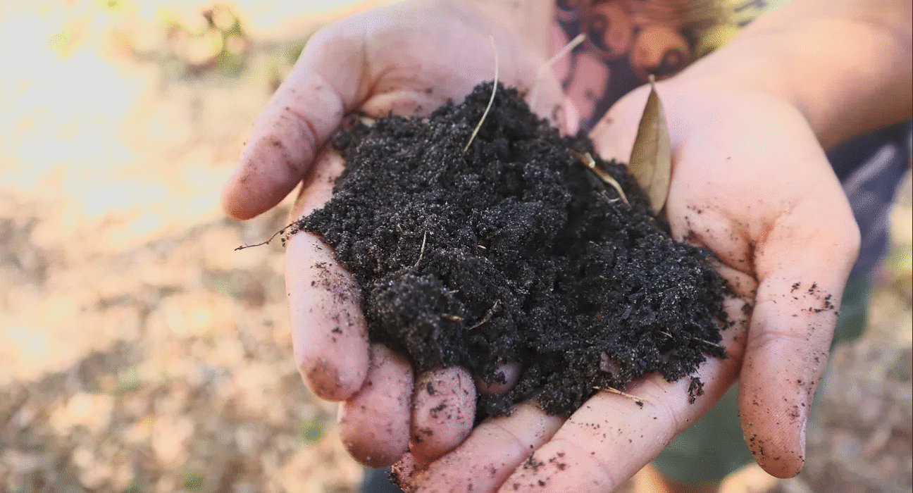 Soil as a Living Asset