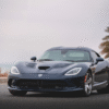 Renty Rent a Car