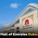 How to Hire a Nanny or Maid in Dubai, UAE?