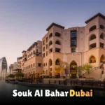 Discover the Charm of a Dhow Cruise Creek | A Complete Travel Guide