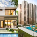 How Omer Ali Became a Key Name in the Dubai Real Estate Market?