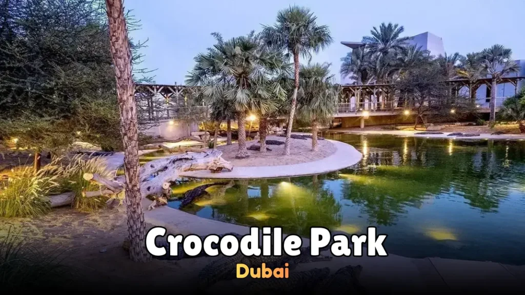 Dubai Crocodile Park