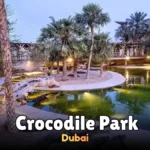 How to Choose the Perfect Yacht Tour in Dubai