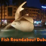 Why Treadmills Are Still the Best Indoor Cardio Machines?