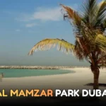 Virtual Dollar Cards Online | Unlimited and Without a Bank