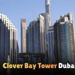 Arab Culture Club Sharjah | A Complete Guide to Its History, Role, and Cultural Impact