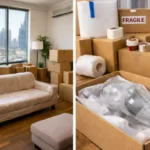 Quick Guide to Umm Al Emarat Park Abu Dhabi