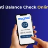 Magnati Balance Check