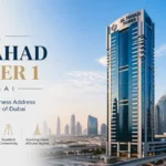 How to Download & Set Up FAB Balance Check Mobile App?