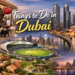 F24 Bus Stop Dubai | A Comprehensive Guide to Routes, Locations, and Services